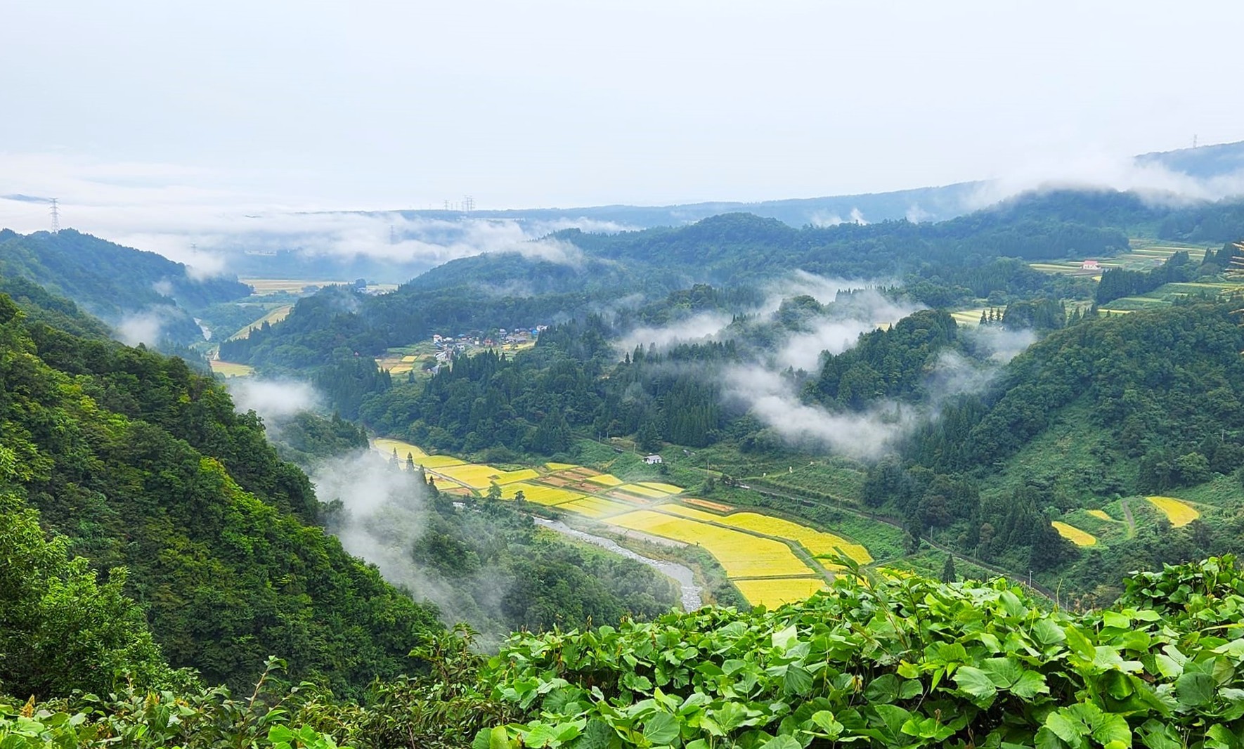 第12回 津南ウルトラマラソン 80K／64K／48K(新潟県 中魚沼郡津南町